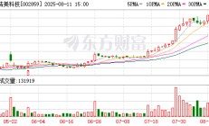 洁美科技公布2025半年度分配预案 拟10派1元