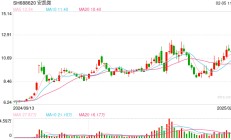 DeepSeek“现象级”崛起！ 蛇年A股首个交易日指数涨超13%，4只成分股20CM涨停