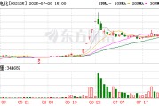 湘潭电化：董事辞职