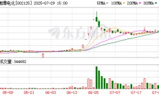 湘潭电化：董事辞职
