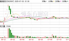 集泰股份：公司及控股子公司无逾期担保事项