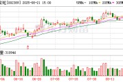 航天彩虹：2025年半年度净利润约-49万元