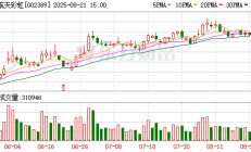 航天彩虹：2025年半年度净利润约-49万元